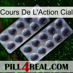 Cial Stock Price 31